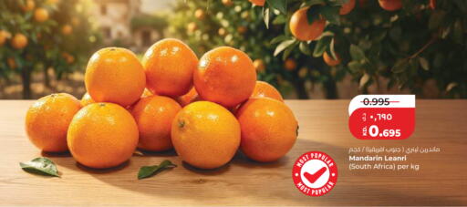 Mandarin from South Africa available at لولو هايبر ماركت in الكويت - مدينة الكويت