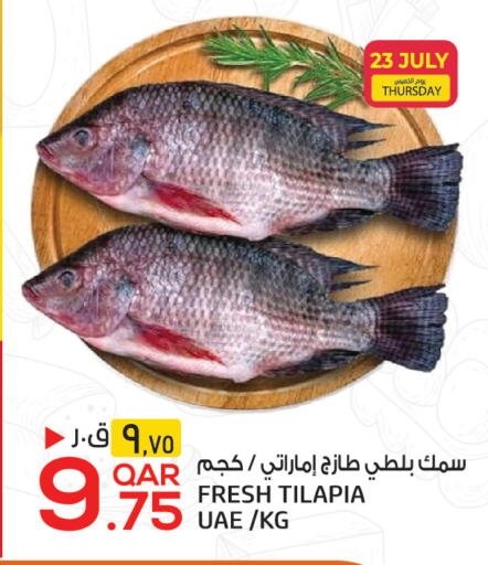 available at Kenz Mini Mart in Qatar - Al-Shahaniya