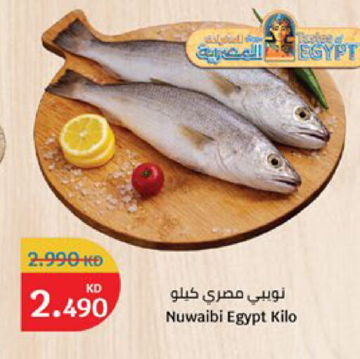available at City Hypermarket in Kuwait - Kuwait City