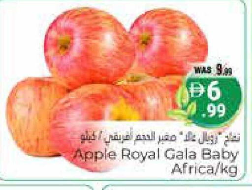 Apple available at Pasons Hypermarket in UAE - Al Ain