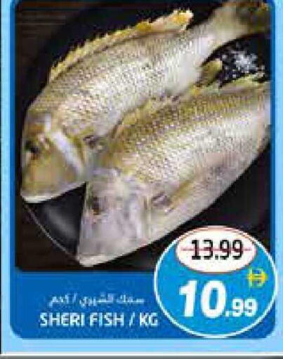 available at Pasons Hypermarket in UAE - Fujairah