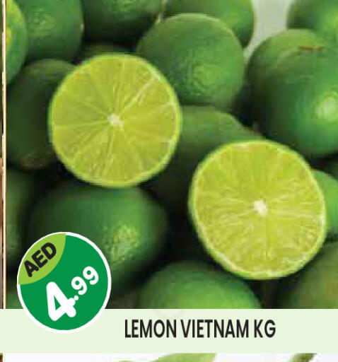 Lemon from Vietnam available at Baniyas Spike  in UAE - Al Ain