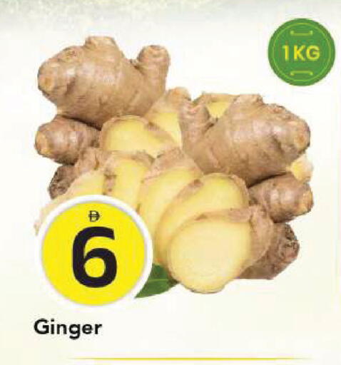 Ginger available at مارك & سيف in الإمارات العربية المتحدة , الامارات - الشارقة / عجمان