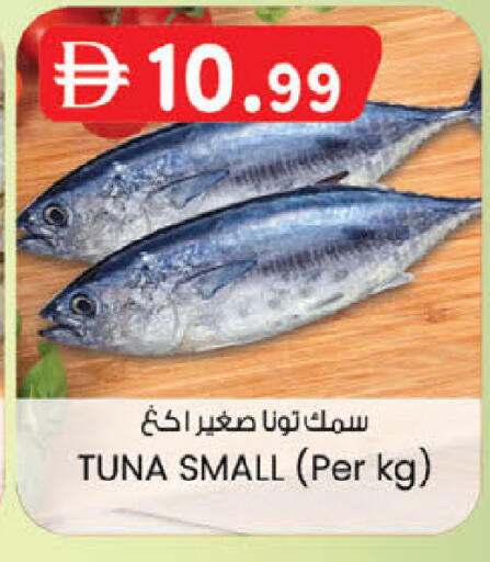 available at ك. إم. هايبرماركت in الإمارات العربية المتحدة , الامارات - ٱلْعَيْن‎