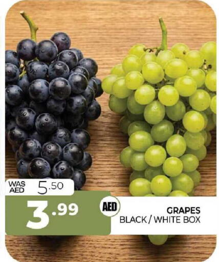 Grapes available at المدينة in الإمارات العربية المتحدة , الامارات - الشارقة / عجمان