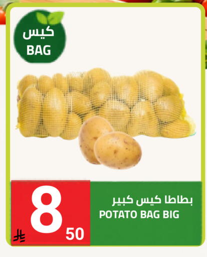 Potato available at أسواق أسترا in مملكة العربية السعودية, السعودية, سعودية - تبوك
