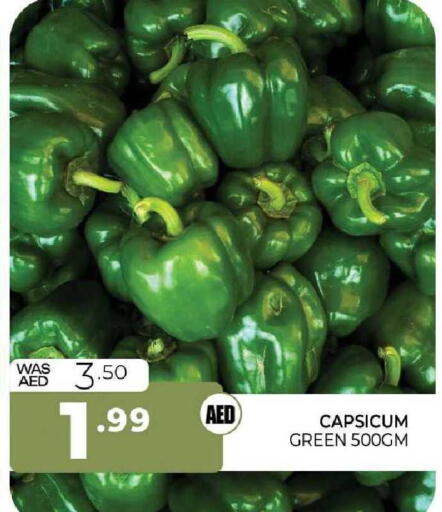 Capsicum available at المدينة in الإمارات العربية المتحدة , الامارات - الشارقة / عجمان
