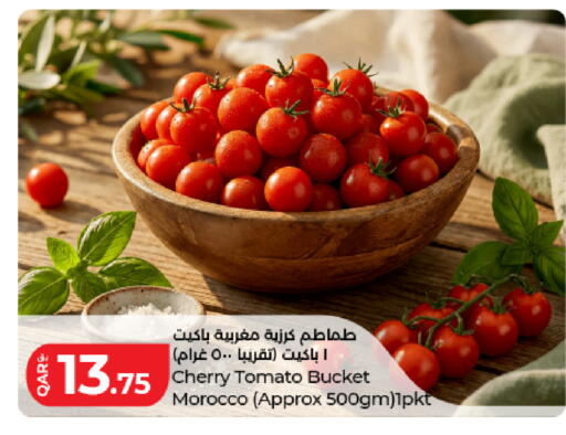 Cherry Cherry tomato from Morocco available at لولو هايبرماركت in قطر - الشمال