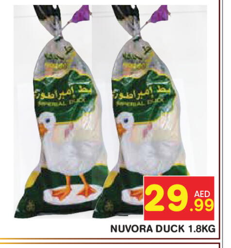 available at سنابل بني ياس in الإمارات العربية المتحدة , الامارات - ٱلْعَيْن‎