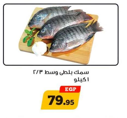 available at Awlad Ragab in Egypt - Cairo