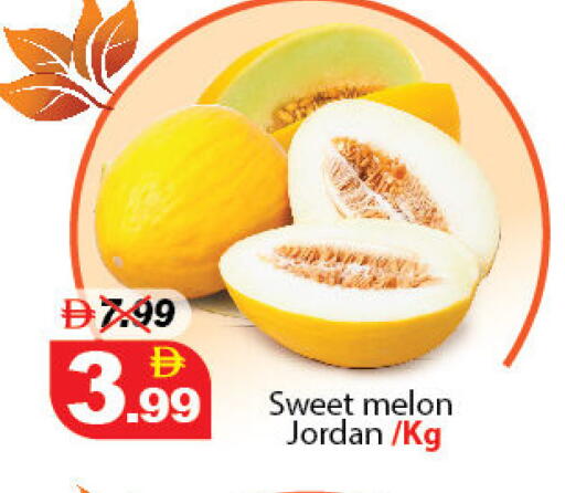 Melon available at ديزرت فريش ماركت in الإمارات العربية المتحدة , الامارات - أبو ظبي