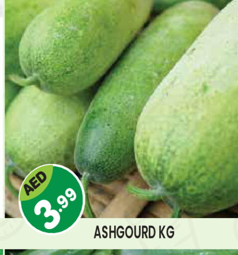 available at سنابل بني ياس in الإمارات العربية المتحدة , الامارات - ٱلْعَيْن‎