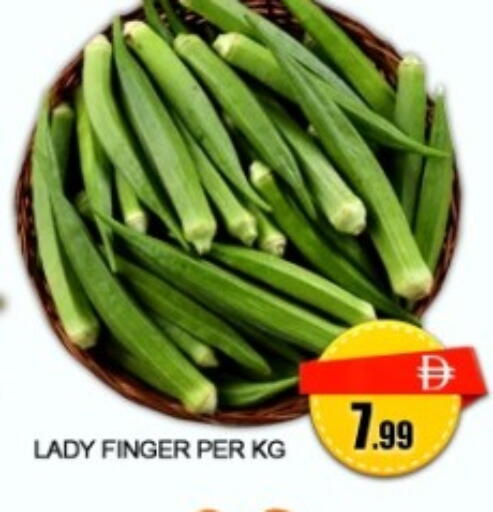 available at جرين جيفت متجر أقسام in الإمارات العربية المتحدة , الامارات - دبي