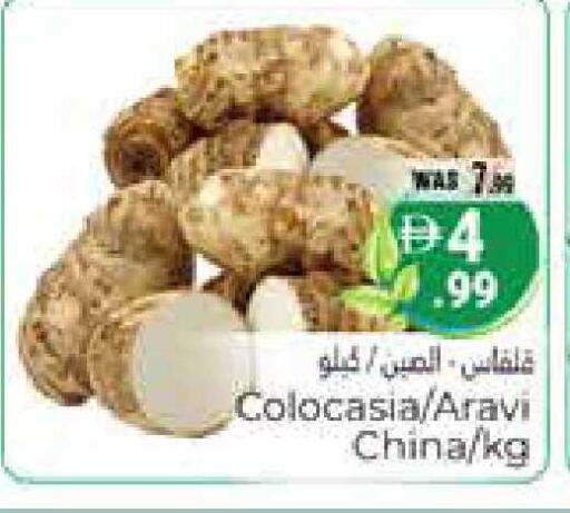 from China available at هايبر ماركت باسونز in الإمارات العربية المتحدة , الامارات - ٱلْعَيْن‎