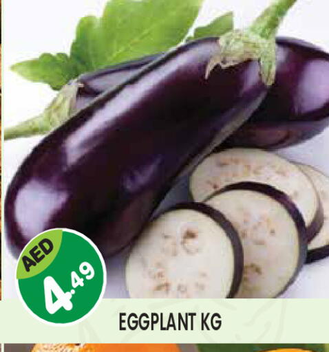 Eggplant available at سنابل بني ياس in الإمارات العربية المتحدة , الامارات - ٱلْعَيْن‎