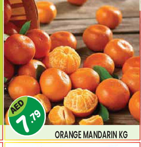 Orange Mandarin available at Baniyas Spike  in UAE - Al Ain