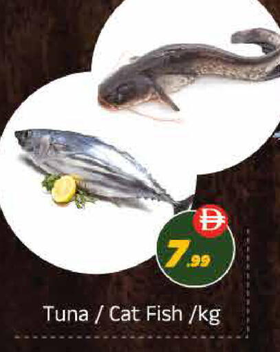 available at ايكو مول & ايكو هايبرماركت in الإمارات العربية المتحدة , الامارات - ٱلْعَيْن‎