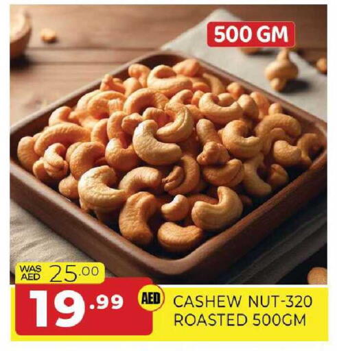 available at المدينة in الإمارات العربية المتحدة , الامارات - الشارقة / عجمان