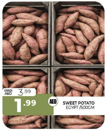 Sweet Potato from Egypt available at المدينة in الإمارات العربية المتحدة , الامارات - الشارقة / عجمان