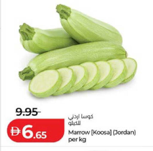 Marrow from Jordan available at لولو هايبرماركت in الإمارات العربية المتحدة , الامارات - ٱلْعَيْن‎