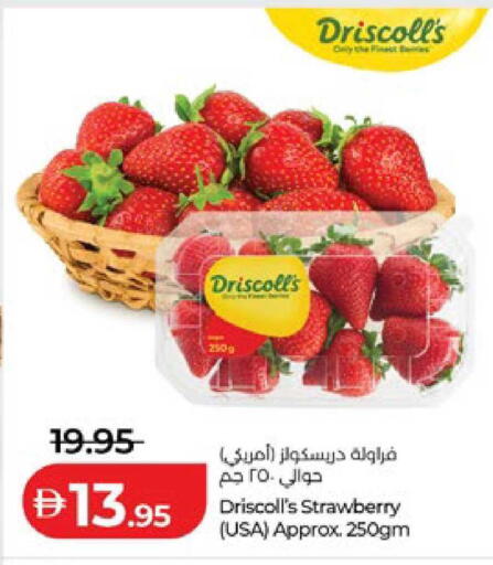 Strawberry available at لولو هايبرماركت in الإمارات العربية المتحدة , الامارات - ٱلْعَيْن‎