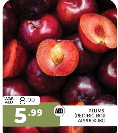 Plums available at المدينة in الإمارات العربية المتحدة , الامارات - الشارقة / عجمان