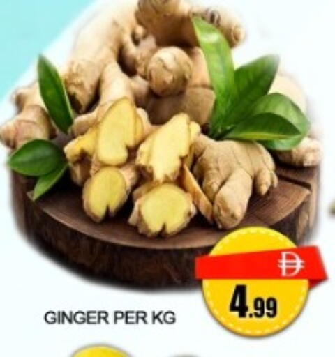 Ginger available at جرين جيفت متجر أقسام in الإمارات العربية المتحدة , الامارات - دبي