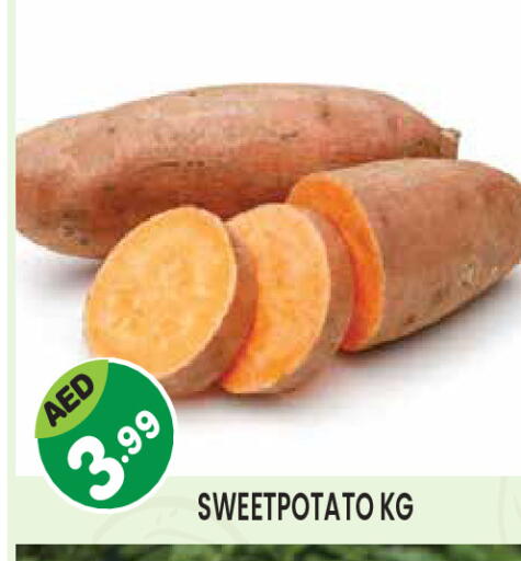 available at سنابل بني ياس in الإمارات العربية المتحدة , الامارات - ٱلْعَيْن‎