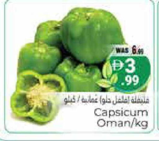 Capsicum from Oman available at هايبر ماركت باسونز in الإمارات العربية المتحدة , الامارات - ٱلْعَيْن‎