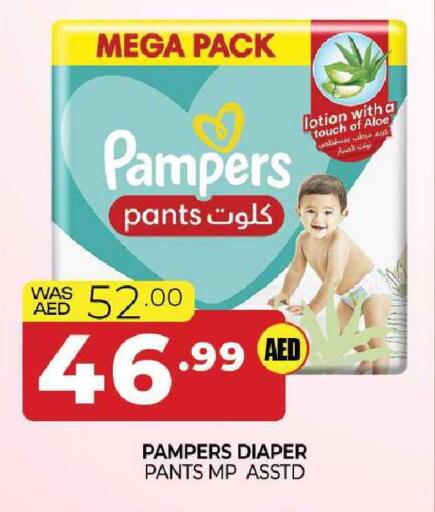 available at المدينة in الإمارات العربية المتحدة , الامارات - الشارقة / عجمان