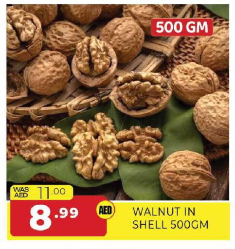 available at المدينة in الإمارات العربية المتحدة , الامارات - الشارقة / عجمان