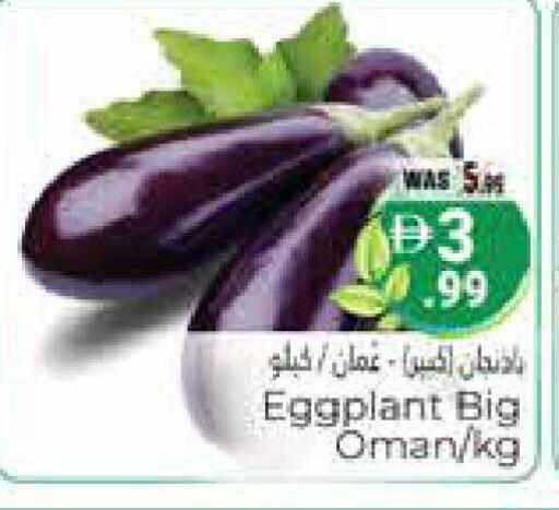 Eggplant from Oman available at هايبر ماركت باسونز in الإمارات العربية المتحدة , الامارات - ٱلْعَيْن‎