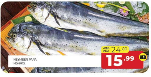 available at المدينة in الإمارات العربية المتحدة , الامارات - الشارقة / عجمان