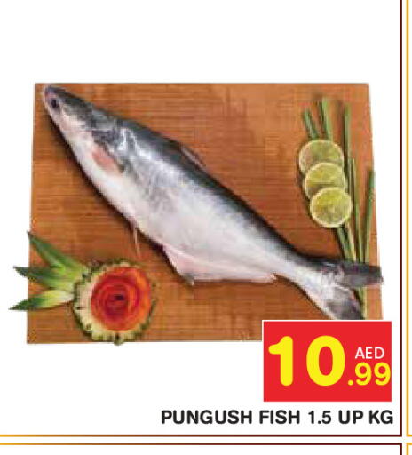 available at سنابل بني ياس in الإمارات العربية المتحدة , الامارات - ٱلْعَيْن‎