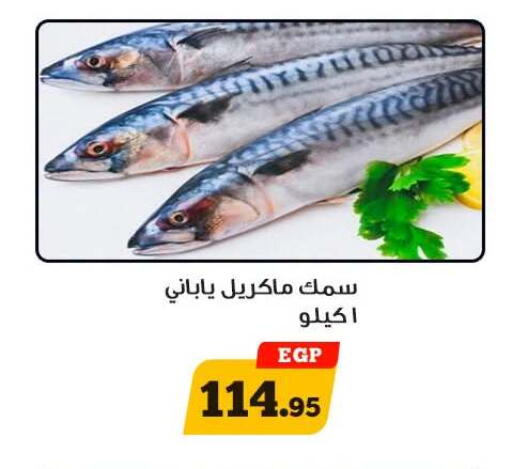 available at Awlad Ragab in Egypt - Cairo