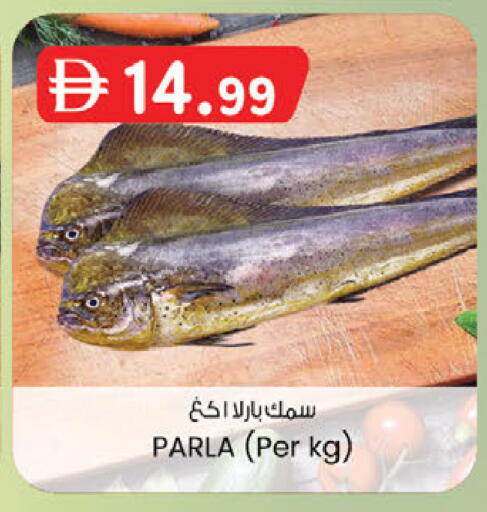 available at K M Trading  in UAE - Fujairah