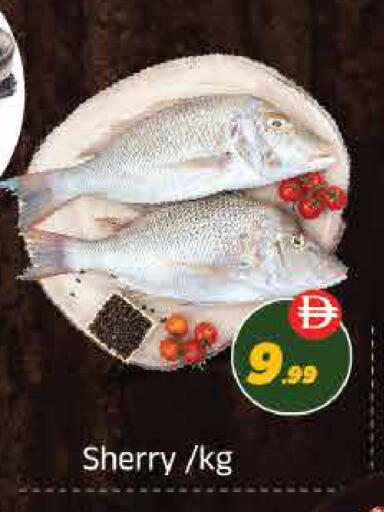 available at ايكو مول & ايكو هايبرماركت in الإمارات العربية المتحدة , الامارات - ٱلْعَيْن‎