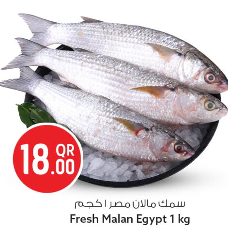 available at Safari Hypermarket in Qatar - Al-Shahaniya