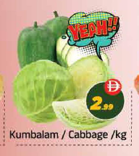 Cabbage available at ايكو مول & ايكو هايبرماركت in الإمارات العربية المتحدة , الامارات - ٱلْعَيْن‎