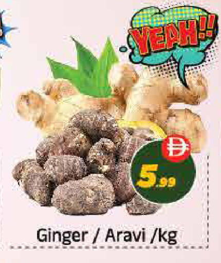 Ginger available at ايكو مول & ايكو هايبرماركت in الإمارات العربية المتحدة , الامارات - ٱلْعَيْن‎