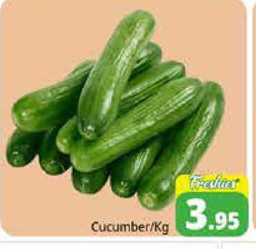 Cucumber available at Pasons Hypermarket in UAE - Sharjah / Ajman