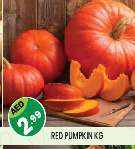 Pumpkin available at سنابل بني ياس in الإمارات العربية المتحدة , الامارات - ٱلْعَيْن‎