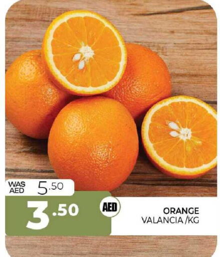 Orange from Valancia available at المدينة in الإمارات العربية المتحدة , الامارات - الشارقة / عجمان