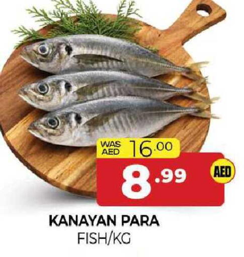 available at المدينة in الإمارات العربية المتحدة , الامارات - الشارقة / عجمان