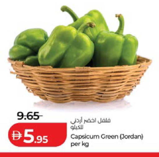 Capsicum from Jordan available at لولو هايبرماركت in الإمارات العربية المتحدة , الامارات - ٱلْعَيْن‎