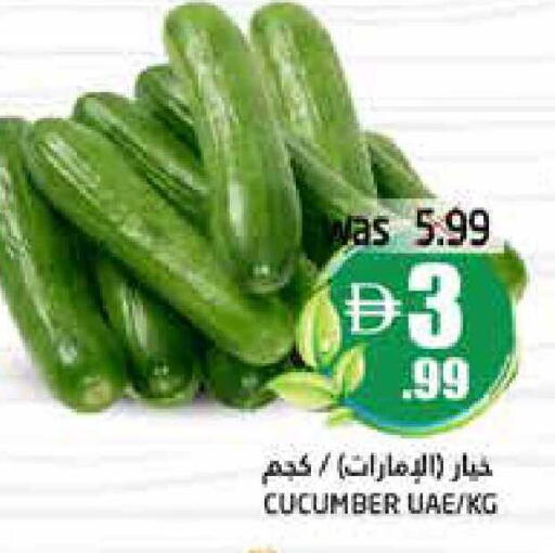 Cucumber available at Pasons Hypermarket in UAE - Fujairah