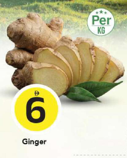 Ginger available at مارك & سيف in الإمارات العربية المتحدة , الامارات - الشارقة / عجمان