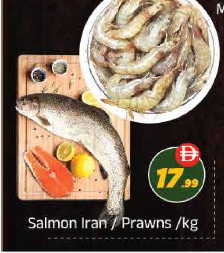available at ايكو مول & ايكو هايبرماركت in الإمارات العربية المتحدة , الامارات - ٱلْعَيْن‎