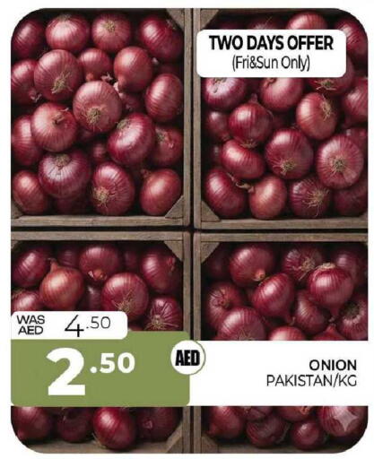 Onion from Pakistan available at المدينة in الإمارات العربية المتحدة , الامارات - الشارقة / عجمان
