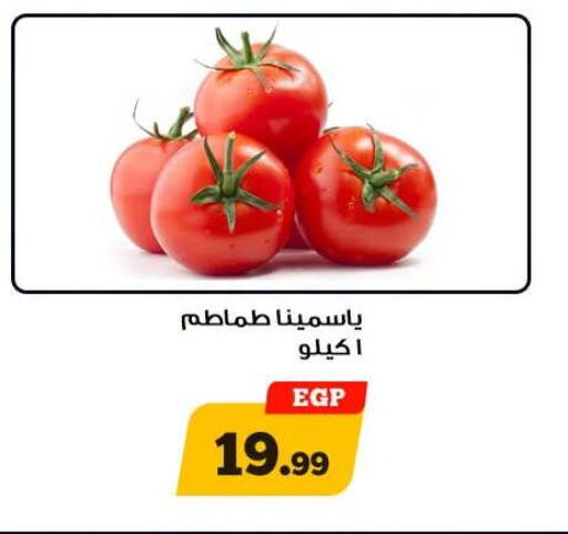 available at Awlad Ragab in Egypt - Cairo